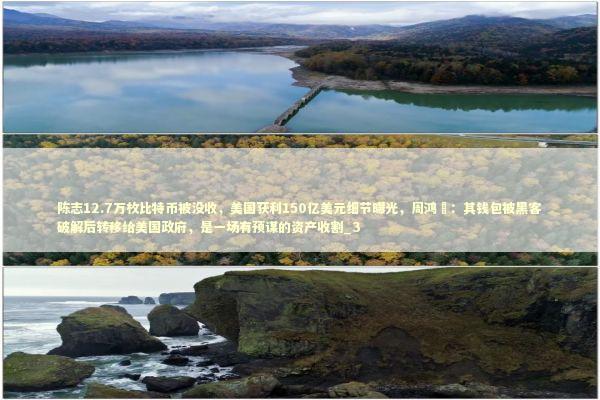 陈志12.7万枚比特币被没收，美国获利150亿美元细节曝光，周鸿祎：其钱包被黑客破解后转移给美国政府，是一场有预谋的资产收割_3