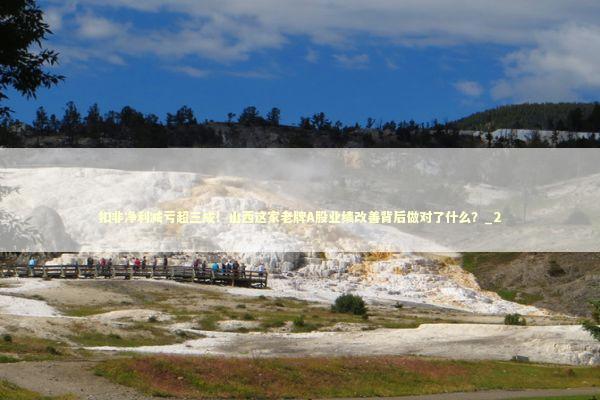 扣非净利减亏超三成！山西这家老牌A股业绩改善背后做对了什么？_2