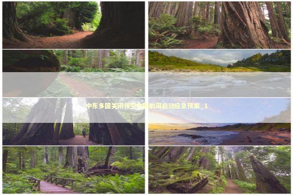 中东多国关闭领空中国航司启动应急预案_1