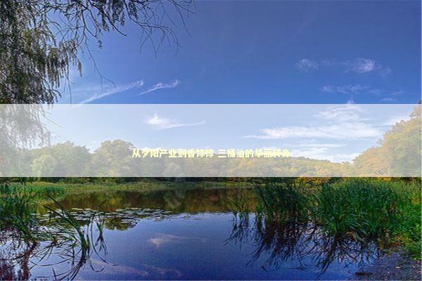 从夕阳产业到香饽饽 三桶油的华丽转身