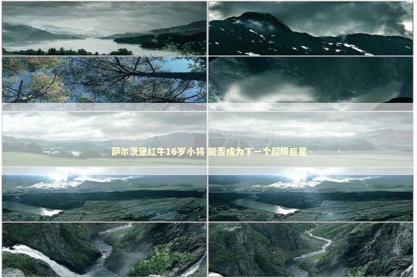 萨尔茨堡红牛16岁小将 能否成为下一个超级巨星