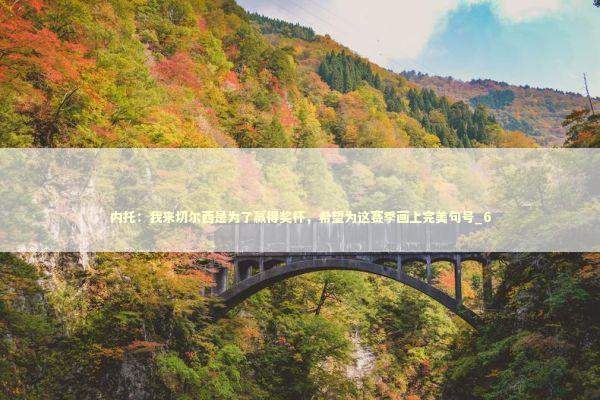 内托：我来切尔西是为了赢得奖杯，希望为这赛季画上完美句号_6