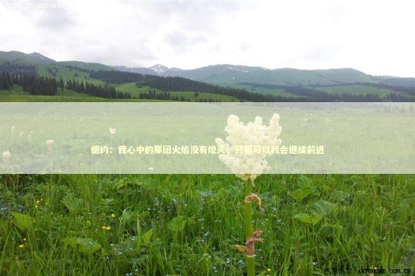 德约：我心中的那团火焰没有熄灭，只要可以我会继续前进