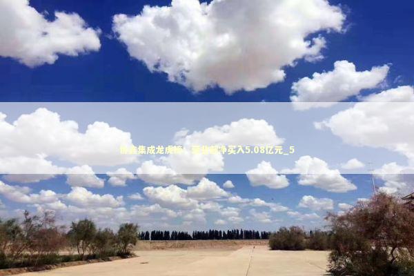 协鑫集成龙虎榜：营业部净买入5.08亿元_5