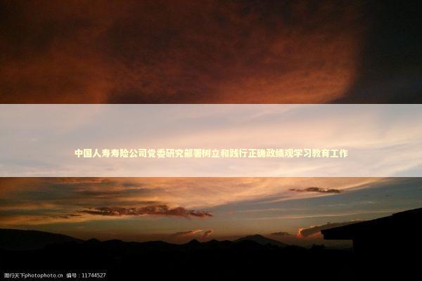 中国人寿寿险公司党委研究部署树立和践行正确政绩观学习教育工作