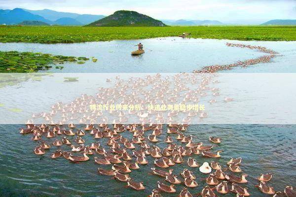 物流行业传来分析：快递业务量稳步增长