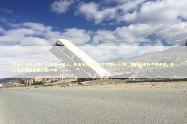 它死了我怎么办？小女孩一句话，湖南乡村兽医免费救助小土狗：我的童年有这种遗憾，想让爱不被昂贵医药费拦住