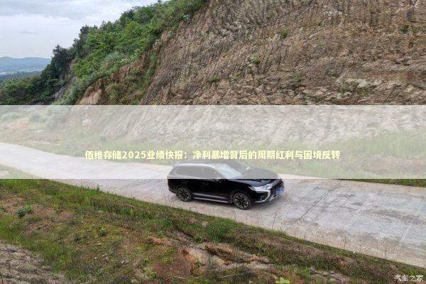 佰维存储2025业绩快报：净利暴增背后的周期红利与困境反转