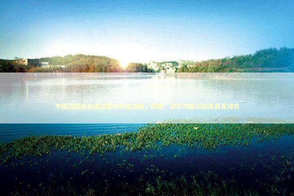 中国货船安全通过霍尔木兹海峡，伊朗：仅针对美以欧及其支持方