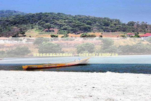 当商业机密面临泄露威胁时，一位经理找到了关键防护方法