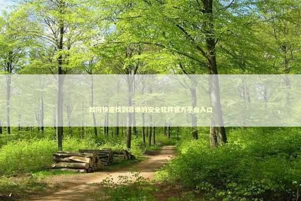 如何快速找到靠谱的安全软件官方平台入口 IT技术