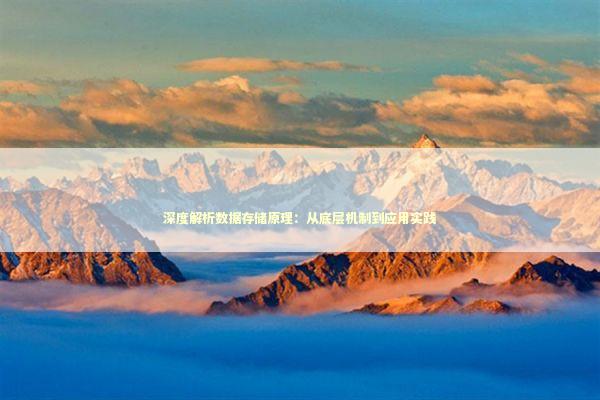 深度解析数据存储原理：从底层机制到应用实践
