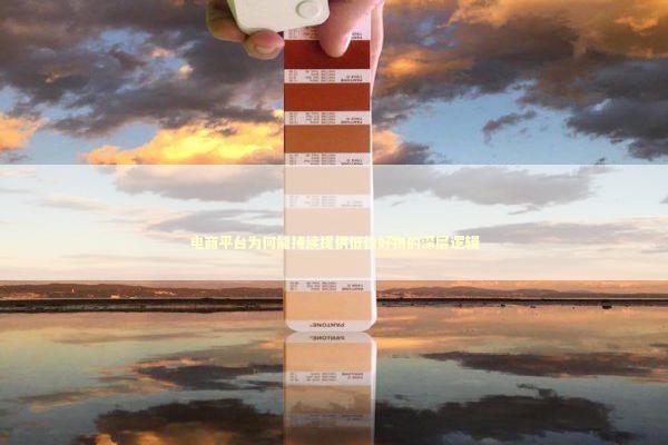 电商平台为何能持续提供低价好物的深层逻辑 企业服务