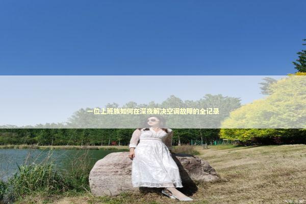 一位上班族如何在深夜解决空调故障的全记录