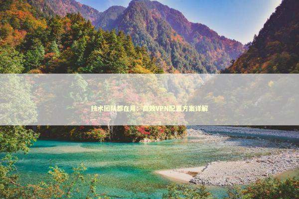 技术团队都在用：高效VPN配置方案详解