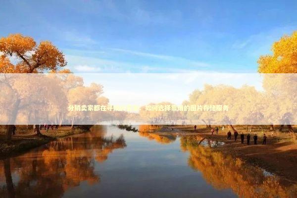 分销卖家都在寻找的答案：如何选择靠谱的图片存储服务 企业服务