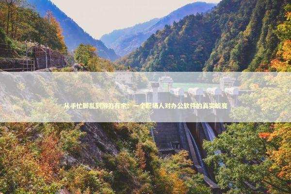 从手忙脚乱到游刃有余：一个职场人对办公软件的真实蜕变 IT技术