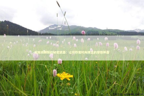 宋雨琦脚踩的秘密武器：让你秒变时尚博主的穿搭神器 时尚用品